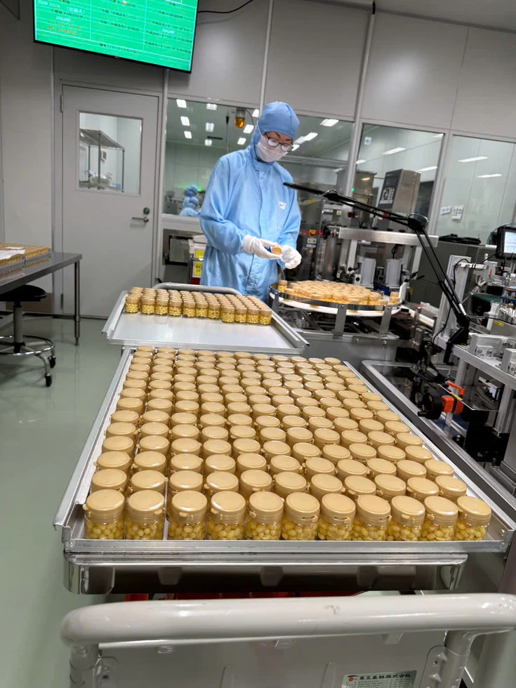 SHIMISEI 製品イメージ1