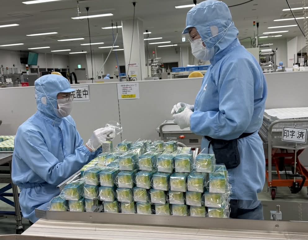 SHIMISEI 製品イメージ6